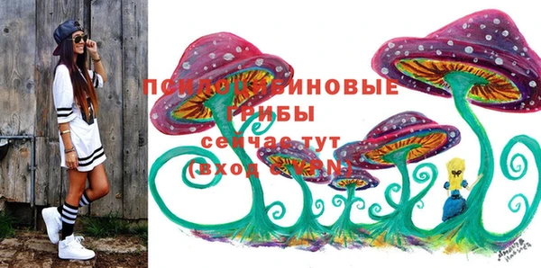 амф Арсеньев