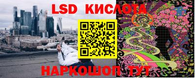 прущие грибы Гуково